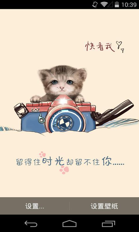 猫咪相机梦象动态壁纸|猫咪相机梦象动态壁纸