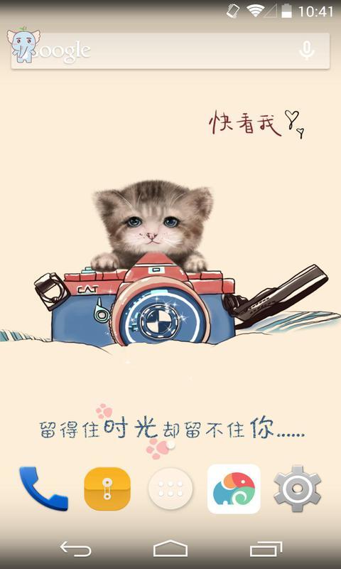 猫咪相机梦象动态壁纸|猫咪相机梦象动态壁纸