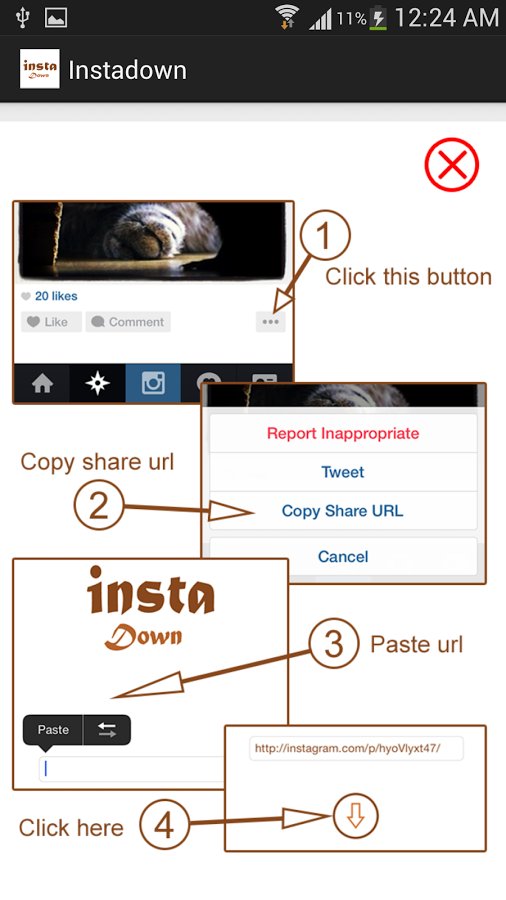 Instagram图片下载Instadown下载|Instagram图片