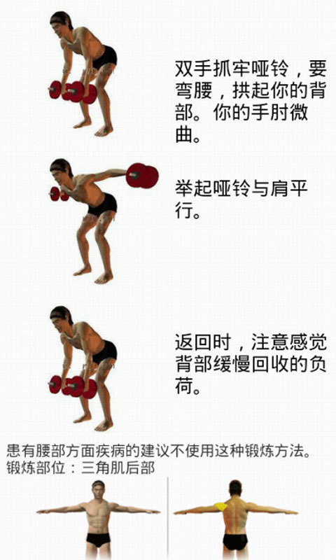 哑铃健身教程