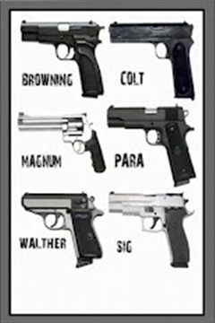 手枪武器游戏截图1