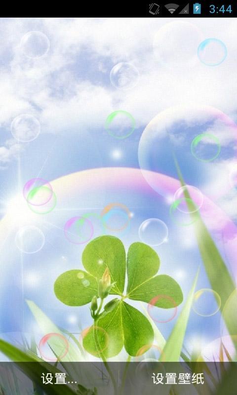 爱情三叶草动态壁纸下载图片