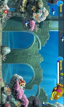 大鱼吃小鱼3D版游戏截图2