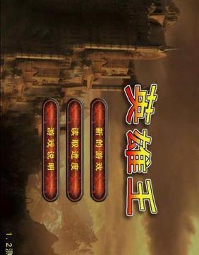 英雄王游戏截图2
