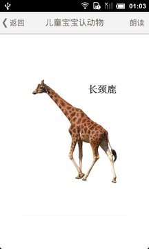 兒童寶寶認(rèn)動(dòng)物游戲截圖2