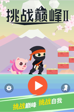 挑戰(zhàn)巔峰2游戲截圖1
