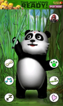 會(huì)說話的熊貓游戲截圖5