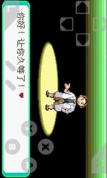 口袋妖怪綠寶石游戲截圖3