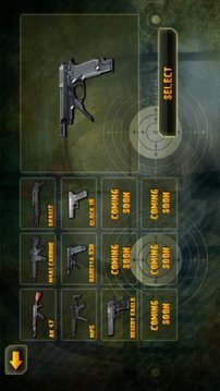 武器大師：槍的射程3D游戲截圖1