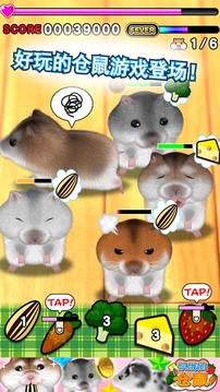 饥饿的仓鼠 Hamster游戏截图10