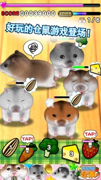 饥饿的仓鼠 Hamster游戏截图1