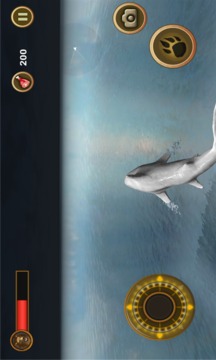 鲨鱼攻击游戏截图5