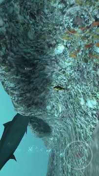 真实鱼类模拟游戏截图3