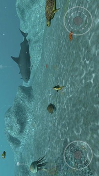 真实鱼类模拟游戏截图1