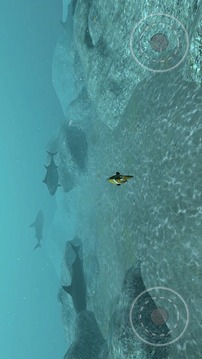 真实鱼类模拟游戏截图5
