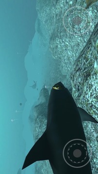 真实鱼类模拟游戏截图4
