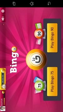 Bingo 75 & 90 by GameDesire游戲截圖3