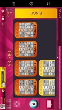 Bingo 75 & 90 by GameDesire游戲截圖2