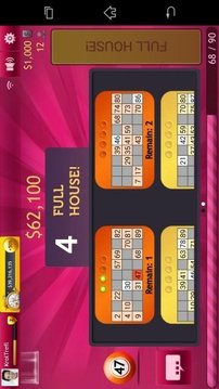 Bingo 75 & 90 by GameDesire游戲截圖5