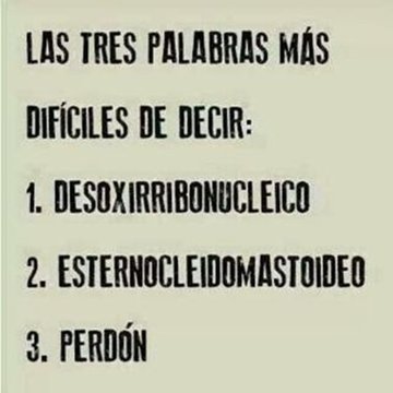 Perdon,Losiento,Perdoname下载_Perdon,L微店一元买iphone6s图片