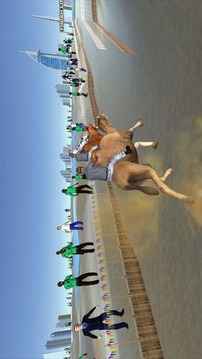 駱駝賽跑游戲截圖3