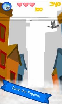 Save the Pigeon游戲截圖4