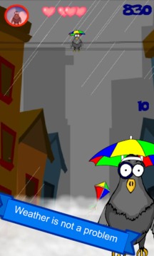 Save the Pigeon游戲截圖1