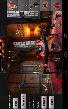 Hidden objects in Italy游戲截圖4