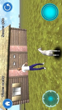 Goat Madness 3D Simulator游戏截图3