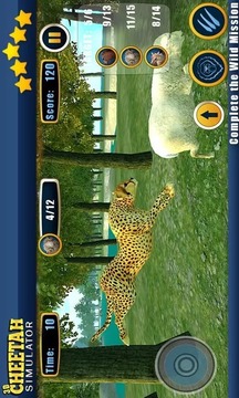 真正的猎豹攻击模拟器游戏截图5