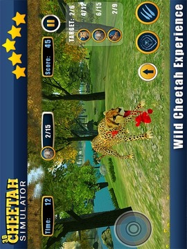 真正的猎豹攻击模拟器游戏截图6