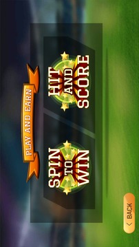板球無限T20 WC2016年游戲截圖3