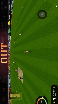 板球無限T20 WC2016年游戲截圖5
