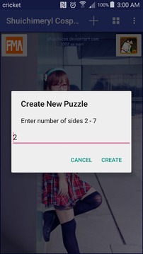 Shuichimeryl Puzzles游戲截圖3