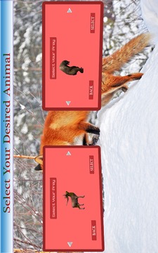 Animals Hunting 2015游戲截圖1