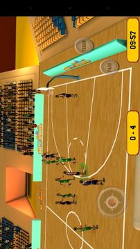 Basketball Sim 3D游戲截圖7