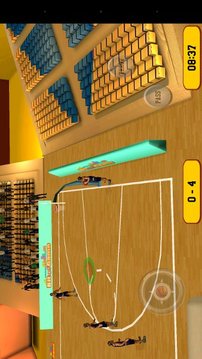 Basketball Sim 3D游戲截圖6