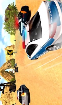 警察追逐賽車游戲截圖5