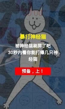 暴打神經(jīng)貓游戲截圖1