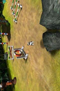 B-Factor Bunny Jumping/Agility游戲截圖3