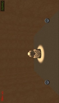 Labyrinth Run 3D游戲截圖3