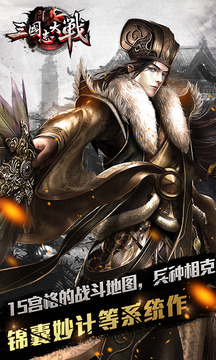 三國志大戰(zhàn)游戲截圖1