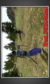 Samurai Warrior Assassin Siege游戲截圖3