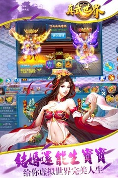 真武世界游戲截圖5