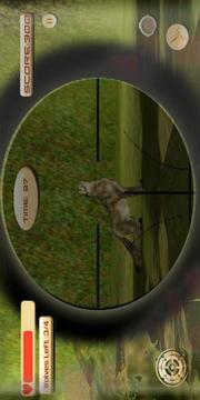Wolf Sniper Hunt 3D游戲截圖3