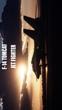F14 Tomcat Jet Simulator游戲截圖1