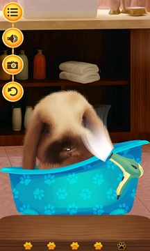 Pet Salon游戲截圖3