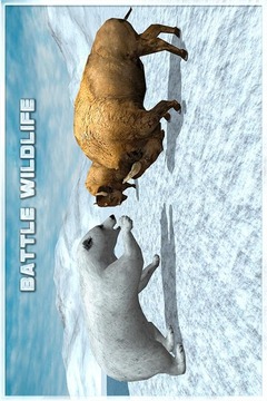 Angry Polar Bear Simulator 3D游戲截圖2