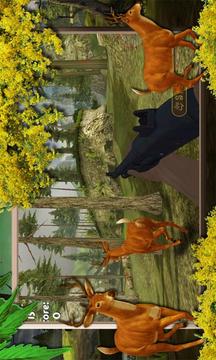 Target Safari Deer Hunter 2016游戲截圖5