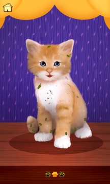 Pet Salon游戲截圖4